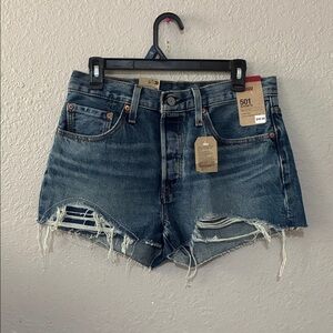 Levi's Distressed Blue Jean Shorts